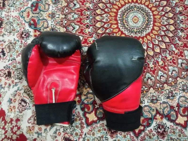 دسکش بوکس|تجهیزات ورزشی|تربتحیدریه, ده پائین|دیوار