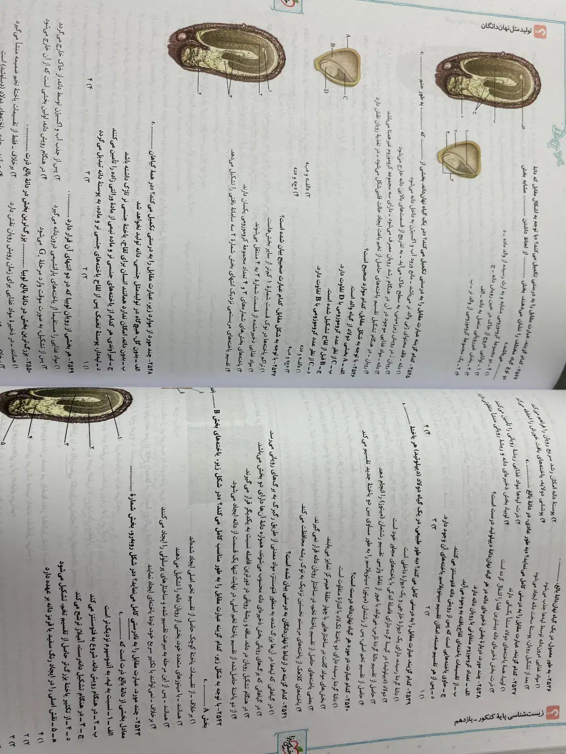 کتاب تست زیست دهم یازدهم|کتاب و مجله آموزشی|شاهینشهر, فردوسی|دیوار