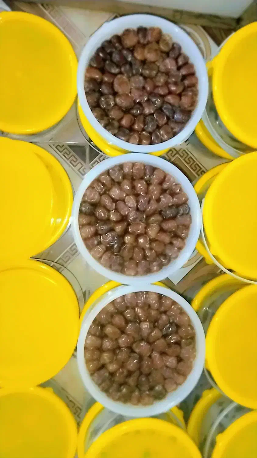 خرما برحی آبادان درجه یک|خوردنی و آشامیدنی|بندر ماهشهر, |دیوار