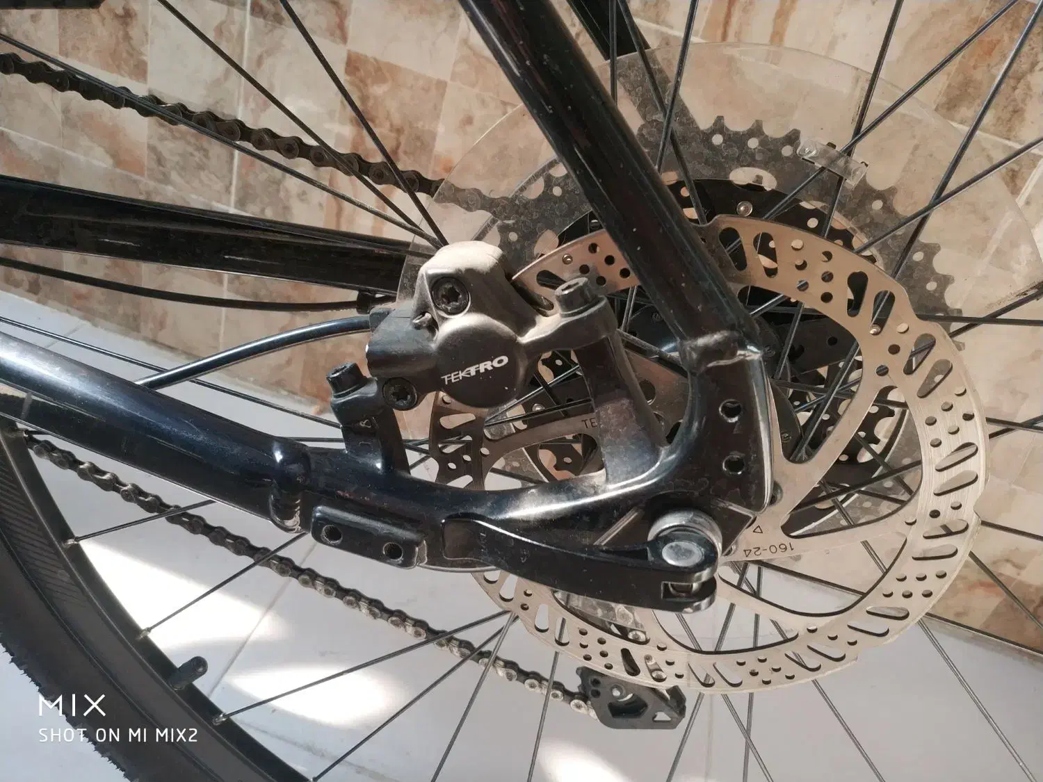 جاینت سایپرس 2 Giant cypress 2|دوچرخه، اسکیت، اسکوتر|تهران, عباس‌آباد|دیوار