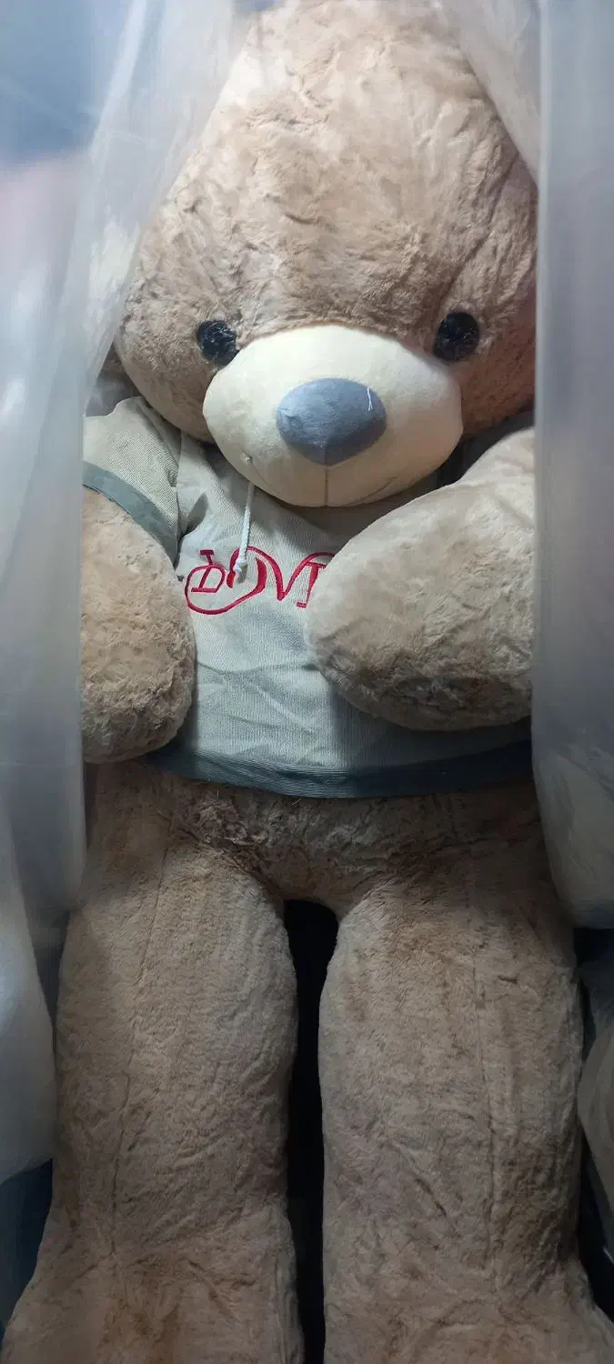 عروسک های مارک دارخارجی|اسباب‌بازی بچه|تبریز, |دیوار