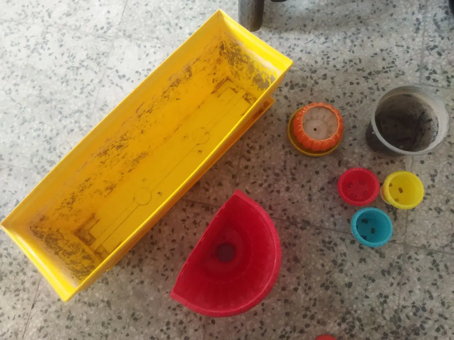 گلدان|گل و گیاه طبیعی|شیراز, آزادگان|دیوار