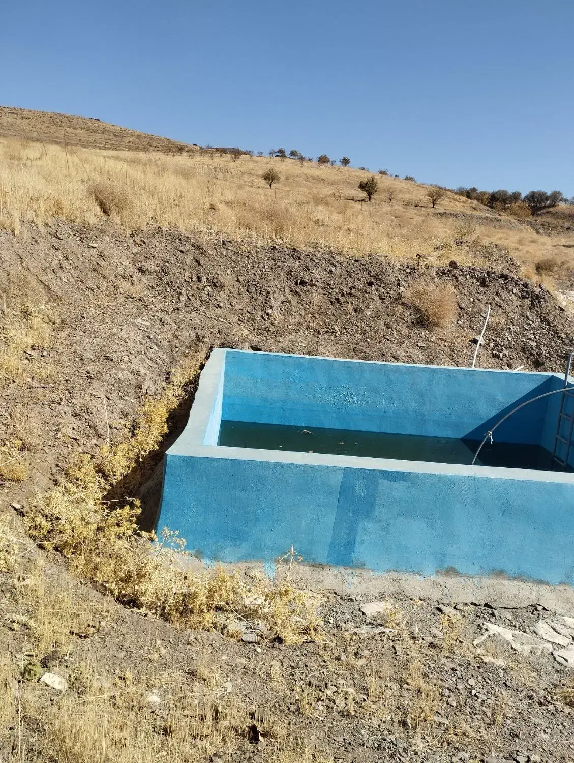 زمین باغی|فروش دفتر صنعتی، کشاورزی، تجاری|همدان, |دیوار