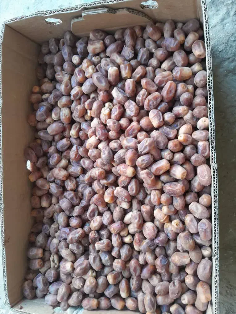 قصب|خوردنی و آشامیدنی|برازجان, |دیوار