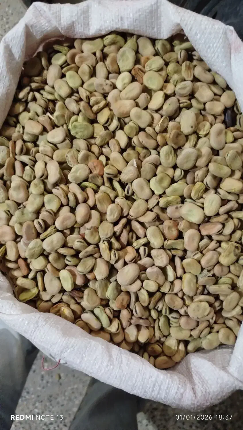 باقله بوجار شده|خوردنی و آشامیدنی|خرم‌آباد, |دیوار