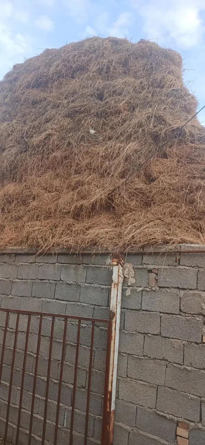 یونجه|لوازم جانبی حیوانات|خوی, |دیوار