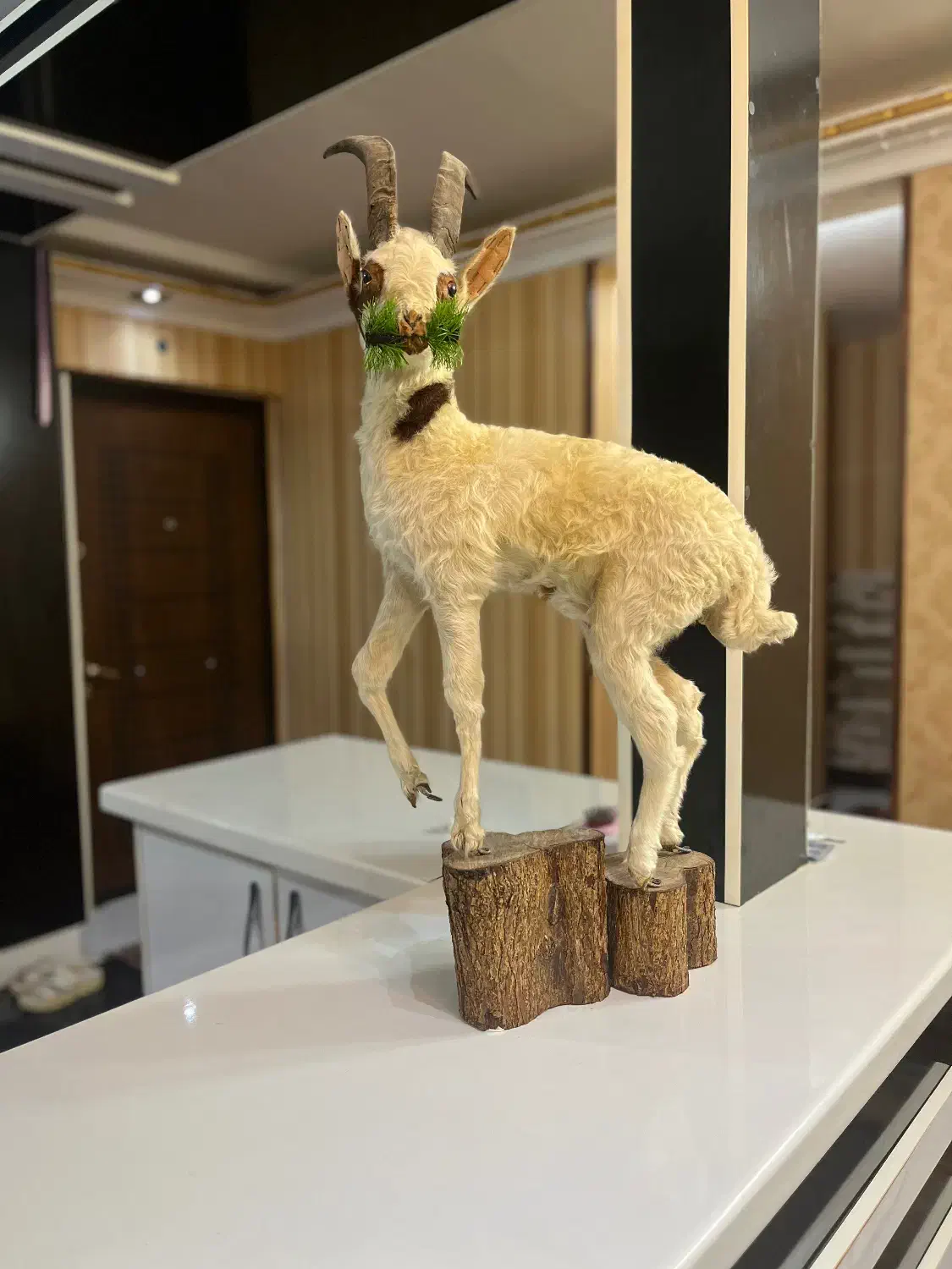 دکوری|مجسمه، تندیس، ماکت|چابهار, |دیوار