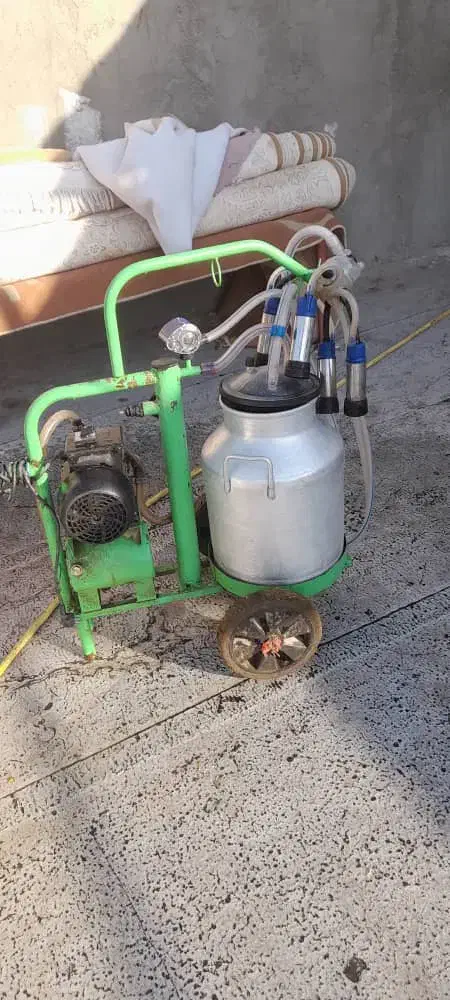 شیر دوش تک واحد|ماشینآلات صنعتی|رودهن, |دیوار