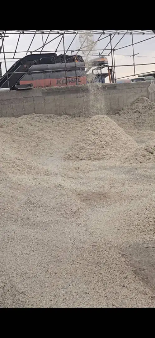 تفاله چغندر تازه به صورت فله|لوازم جانبی حیوانات|بشاریات, |دیوار