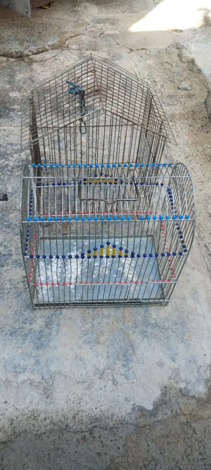 قیمت 400000هزار|لوازم جانبی حیوانات|سقز, |دیوار