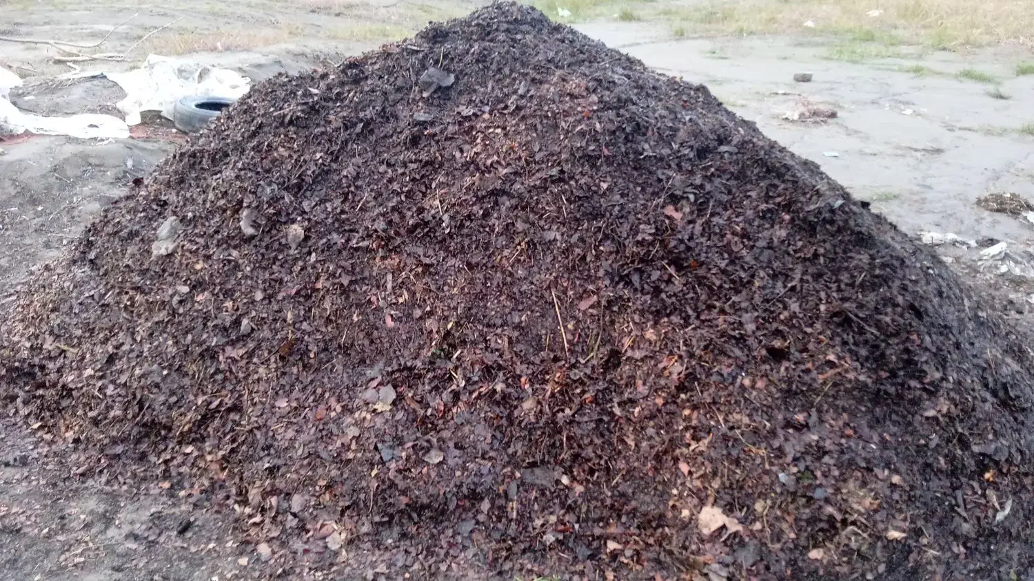 خاک برگ|خدمات باغبانی و درختکاری|چابکسر, |دیوار