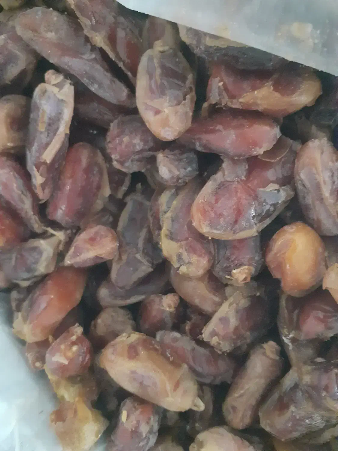 خرما|خوردنی و آشامیدنی|فسا, |دیوار