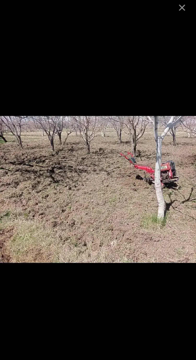 شخم زنی با کلتیواتور|خدمات باغبانی و درختکاری|مرند, |دیوار