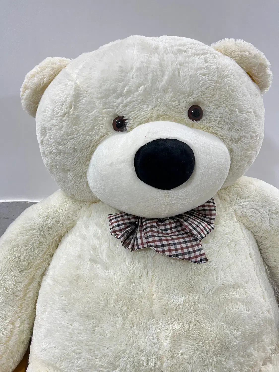 خرس بزرگ|کلکسیون و سرگرمی|بیرجند, |دیوار