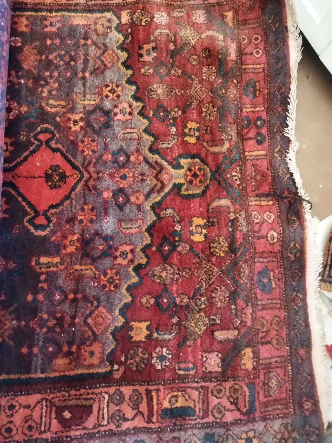 فرش دستباف قدیمی|فرش|قم, علی آباد|دیوار