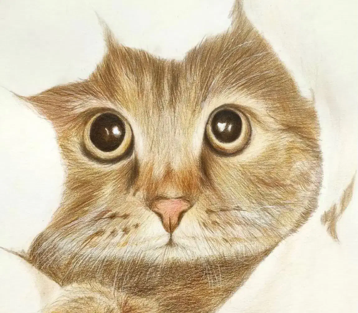 آموزش و سفارش نقاشی|خدمات آموزشی|قائم‌شهر, |دیوار