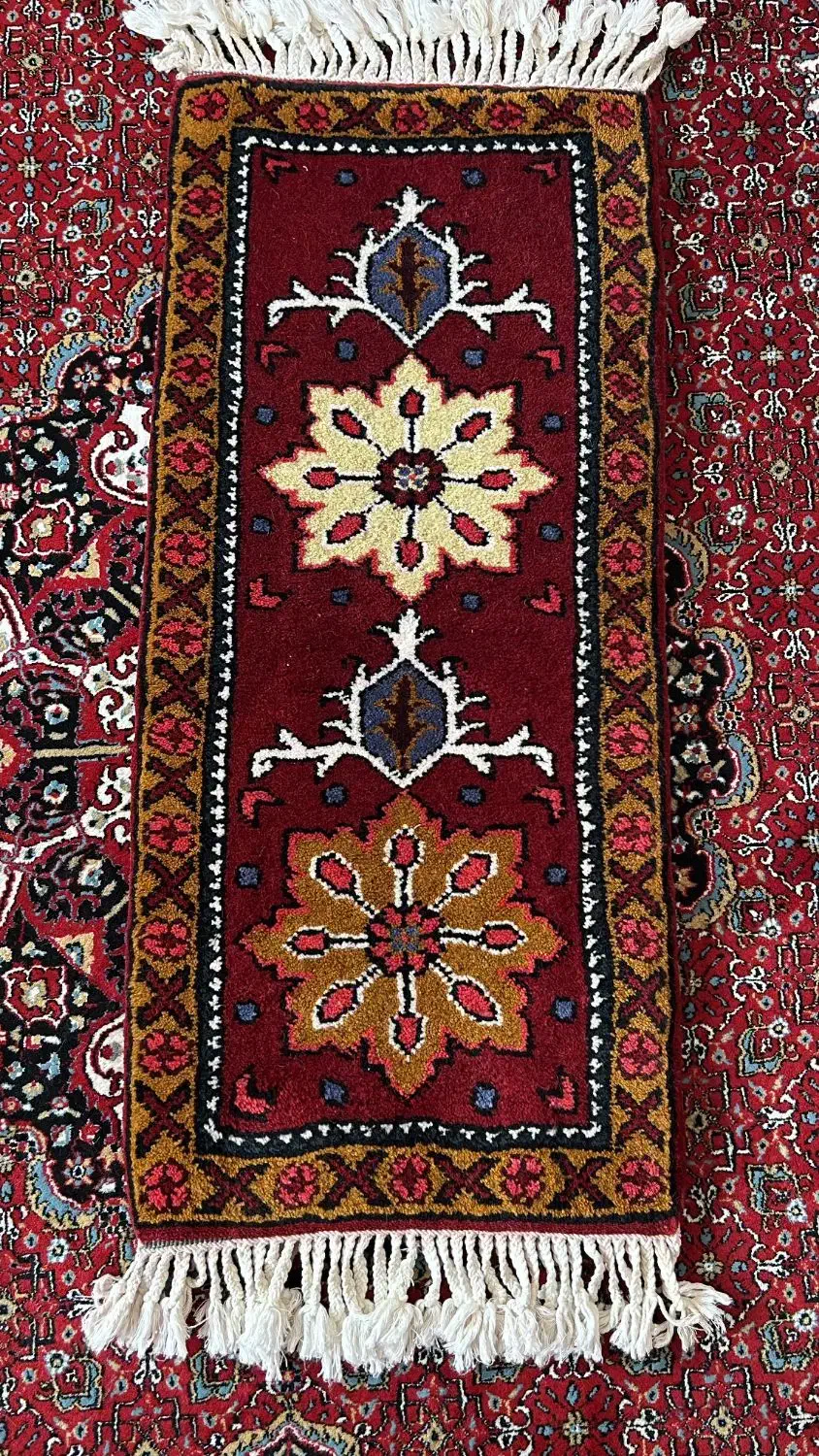 پادری|پادری|تبریز, |دیوار