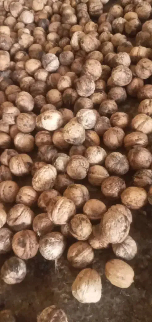 گردوالشتر|خوردنی و آشامیدنی|دره شهر, |دیوار