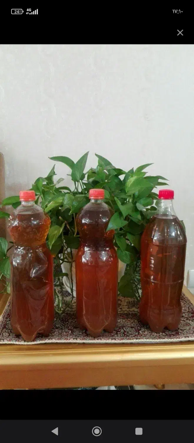 سرکه انگور اعلا|خوردنی و آشامیدنی|عجب شیر, |دیوار