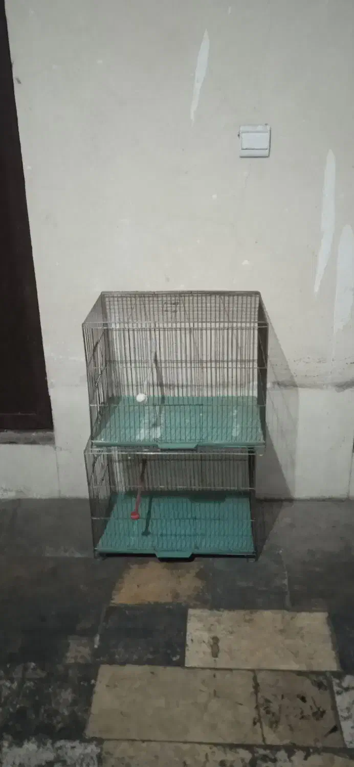 قفس پرنده|لوازم جانبی حیوانات|تهران, کیانشهر|دیوار