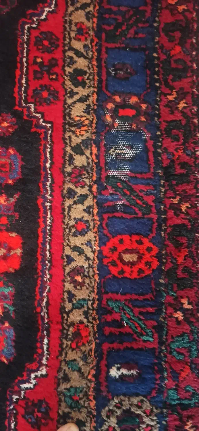 فرش دستبافت|فرش|زنجان, |دیوار