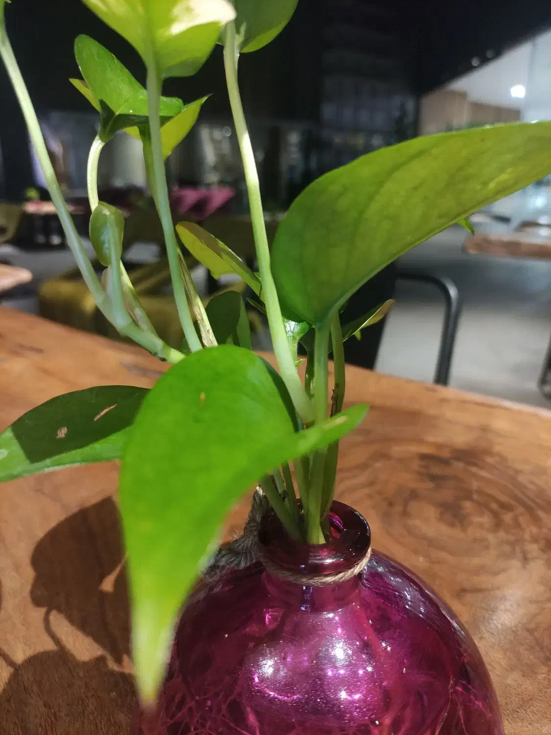 اجاره دفتر کار و سالن|اجارهٔ کوتاه‌مدت دفتر کار و فضای آموزشی|اصفهان, سپاهان‌شهر|دیوار