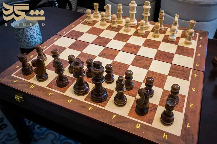 آموزش شطرنج و تخته نرد ...|خدمات آموزشی|بندرعباس, |دیوار