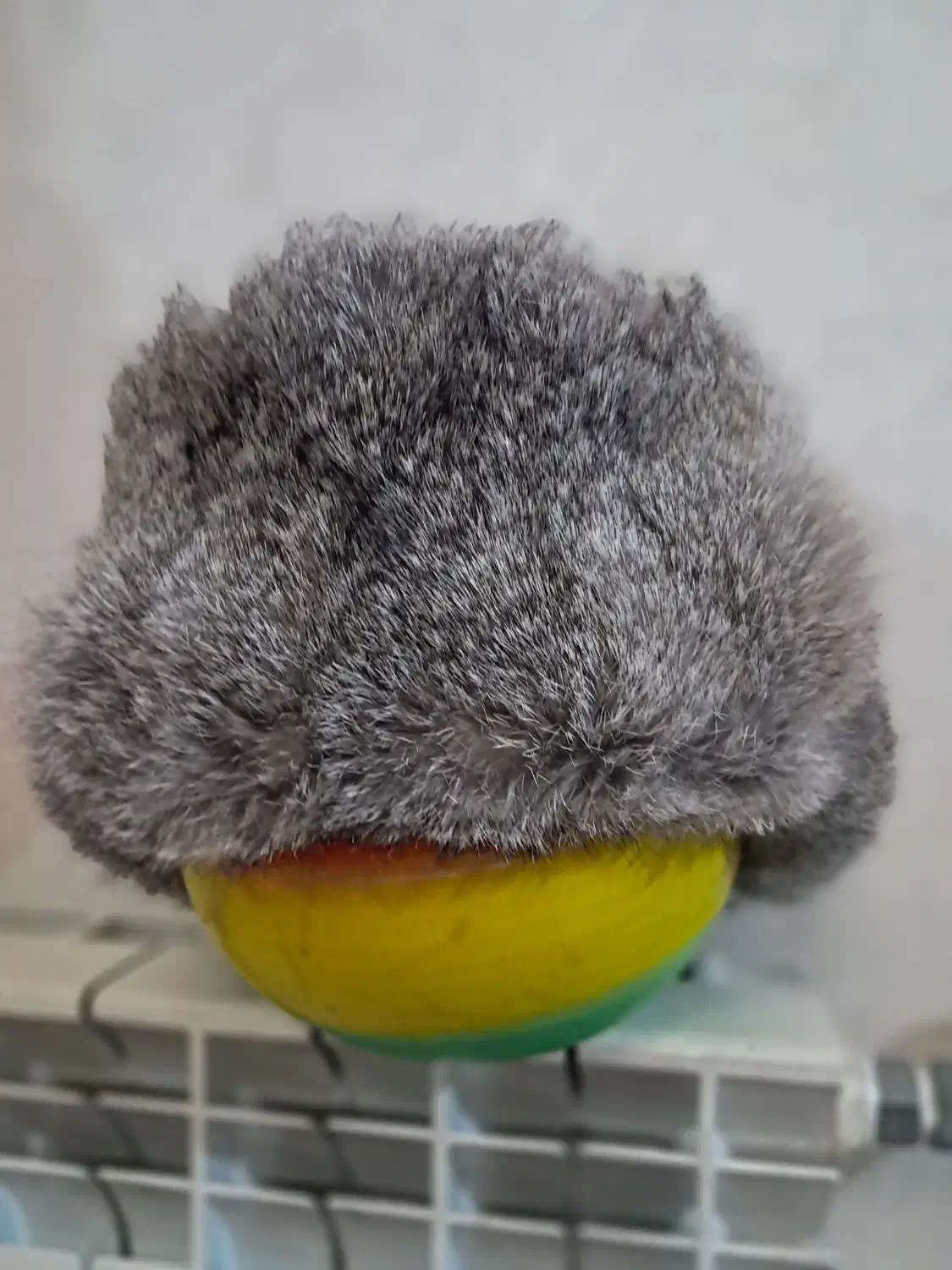 کلاه پوست|لباس|تهران, هفده شهریور|دیوار