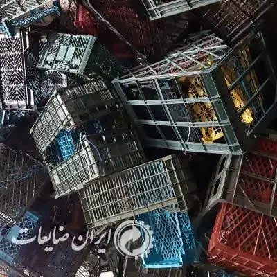 فروش سبد زنده|عمدهفروشی|ری, علایین|دیوار