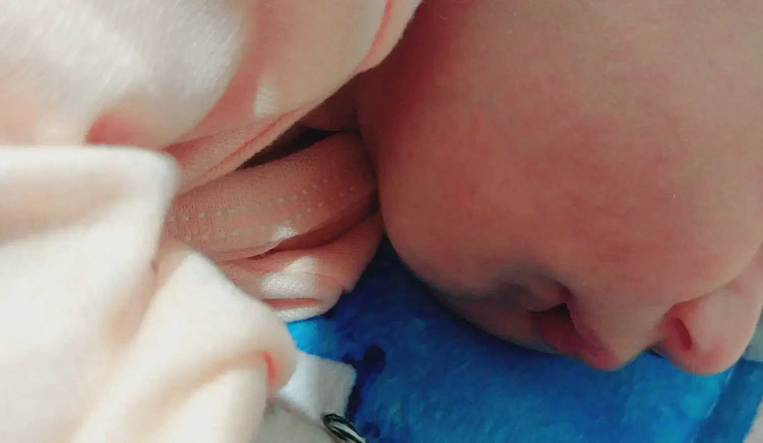 گوشواره طلا|جواهرات|رامهرمز, |دیوار