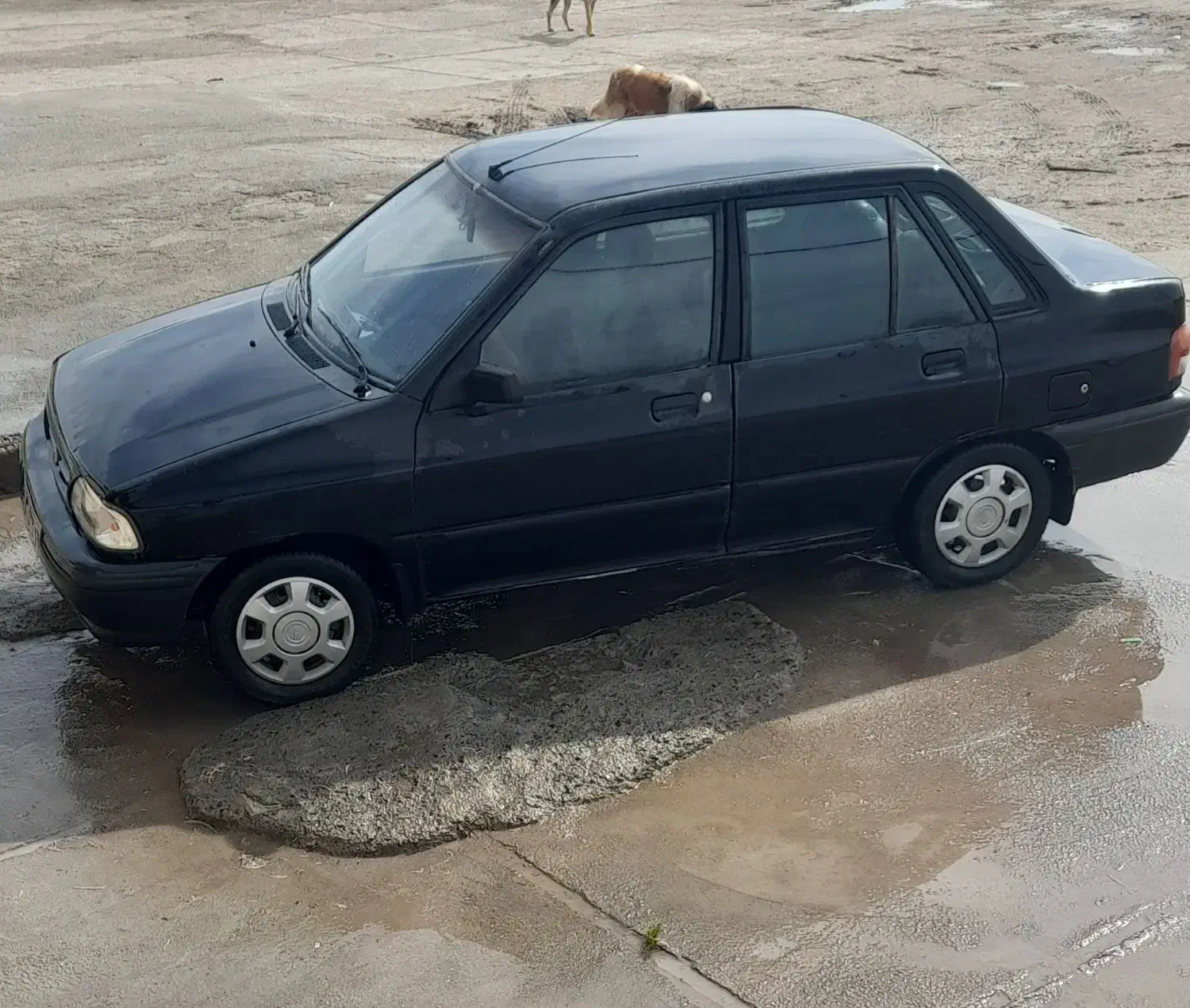 پراید مدل ۸۴  دوگانه کارخانه|خودرو سواری و وانت|کرمانشاه, |دیوار