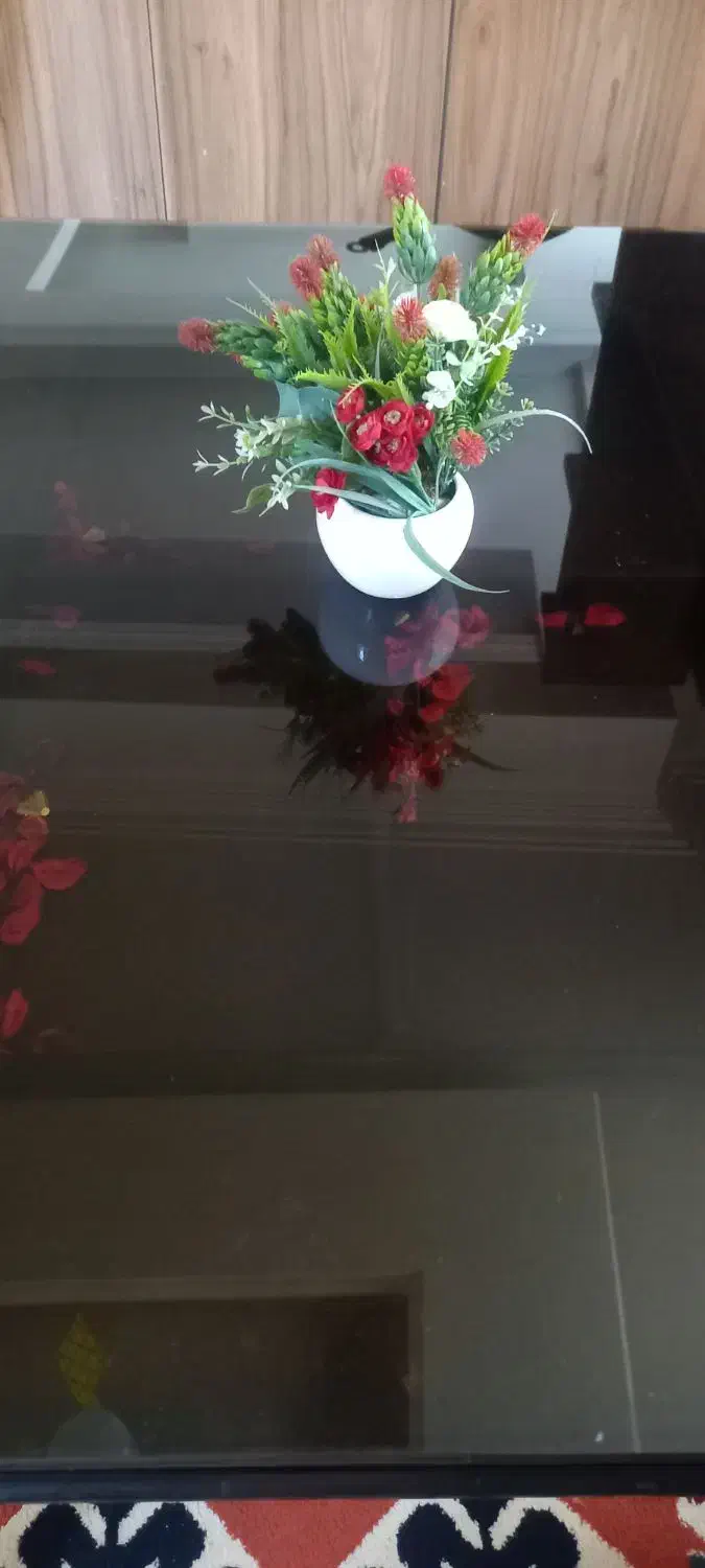 میز نهار خوری|میز و صندلی غذاخوری|مشهد, هفت تیر (حافظ)|دیوار