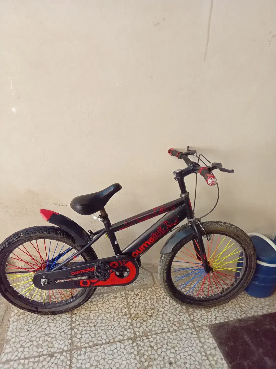 دوچرخه ۲۴  و ۲۶|دوچرخه، اسکیت، اسکوتر|درگزین, |دیوار