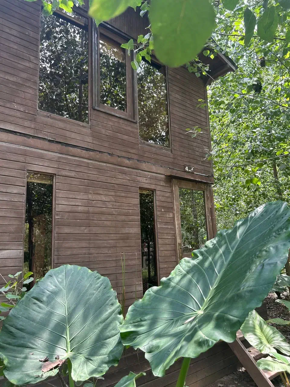 ویلایی از چوب در دل یک منطقه گردشگری زنده|فروش خانه و ویلا|سبزوار, پیروزی|دیوار