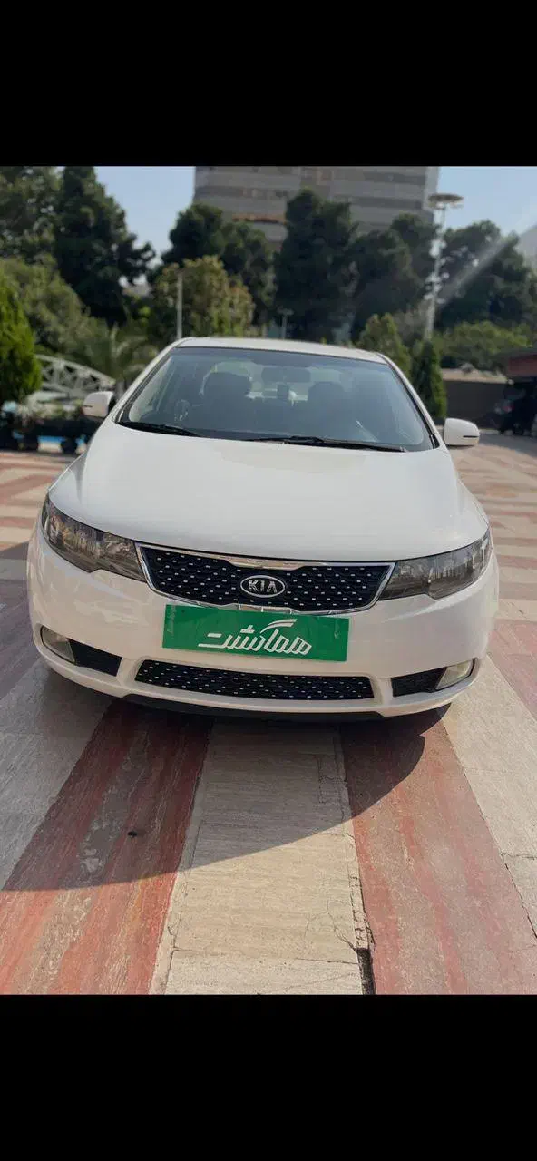 اجاره خودرو رنت خودرو هماگشت در هتل هما|خودرو اجارهای|تهران, ونک|دیوار