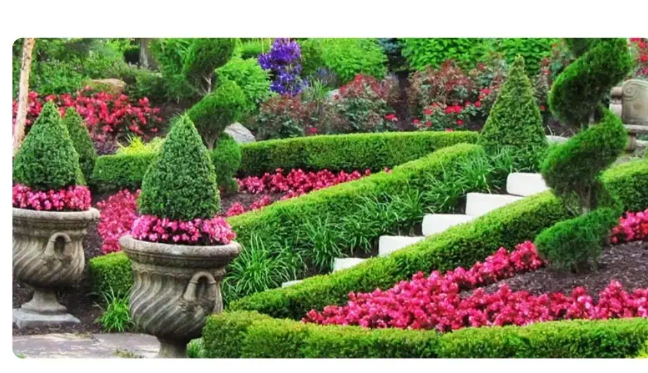 امورباغبانی و گل وگیاه|خدمات باغبانی و درختکاری|شیراز, پودنک|دیوار