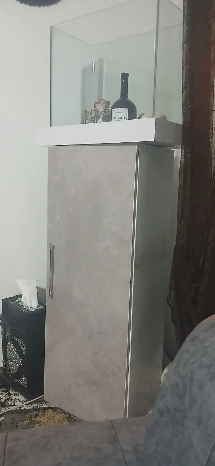 اکواریوم|ماهی|سنندج, |دیوار