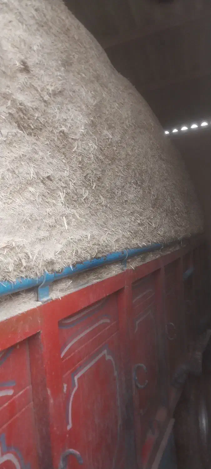 کاه نشکر یا بگاس تن یا سروهست باقیمت مناسب|عمدهفروشی|خمینیشهر, |دیوار