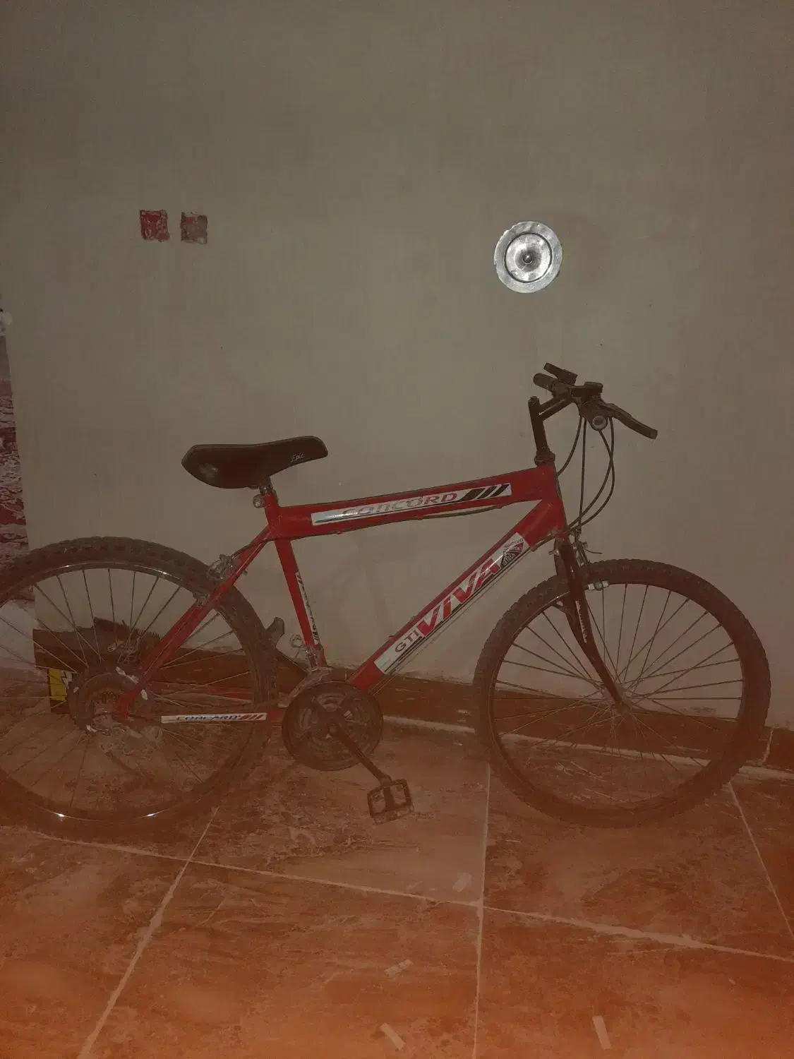 دوچرخه 26 ویوا|دوچرخه، اسکیت، اسکوتر|شیراز, بید زرد|دیوار