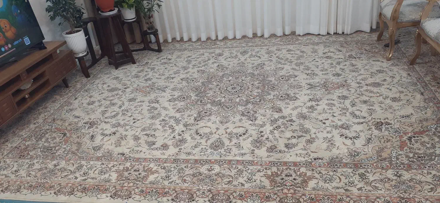 فرش ۷۰۰شانه|فرش|بیرجند, |دیوار