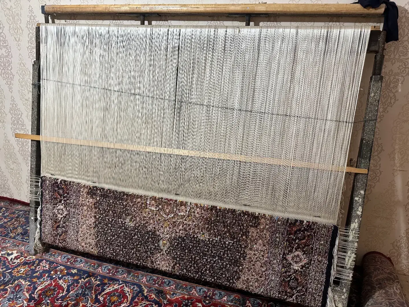 فرش نقشه ماهی چاه ابریشم|فرش|تبریز, |دیوار