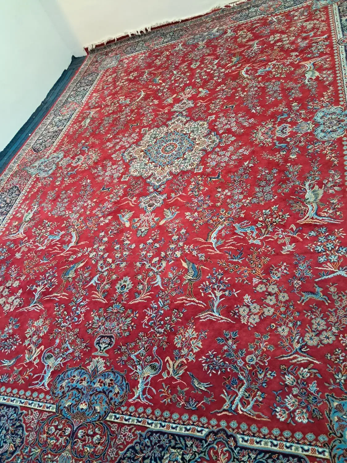 فرش ۱۲ متری لاکی رنگ|فرش|ملایر, |دیوار