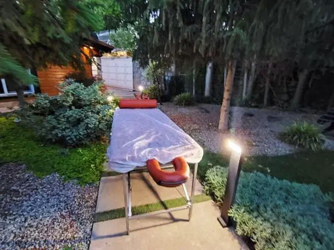 روغن های گیاهی ماساژ|آرایشی، بهداشتی، درمانی|تهران, الهیه|دیوار