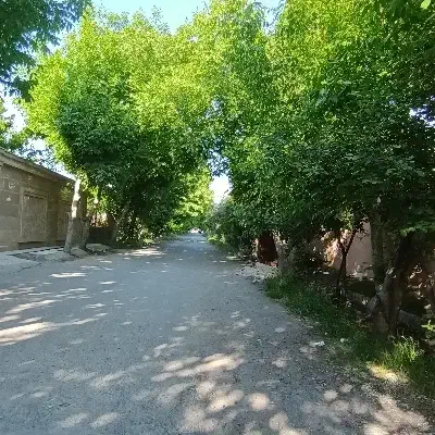 ۵۰۰ متر باغویلاسند کوچه برند بکه شهریار|فروش خانه و ویلا|شهریار, بکه|دیوار