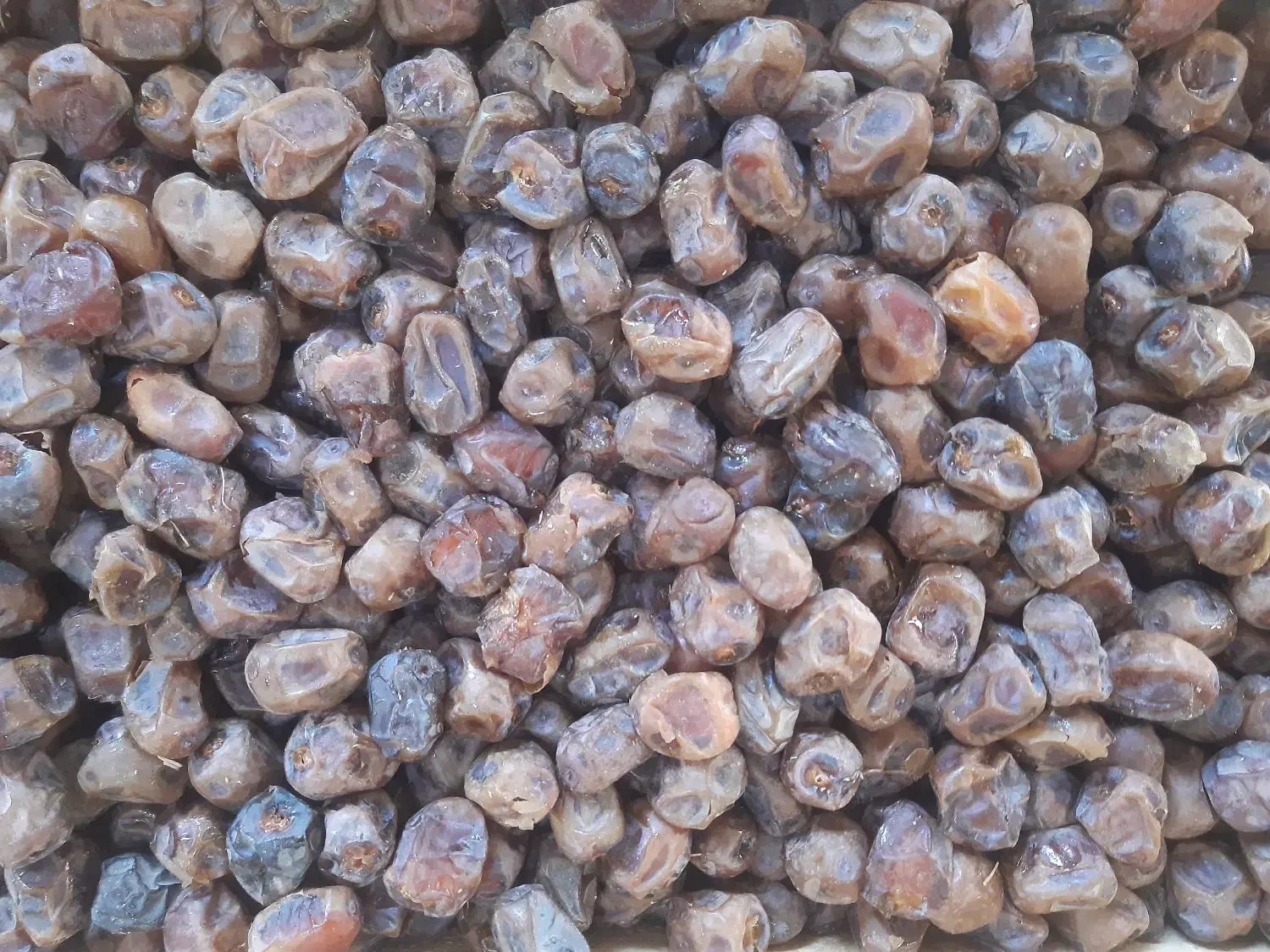 فروش خرمای برحی درجه یک با قیمت مناسب|خوردنی و آشامیدنی|تهران, ائمه اطهار|دیوار