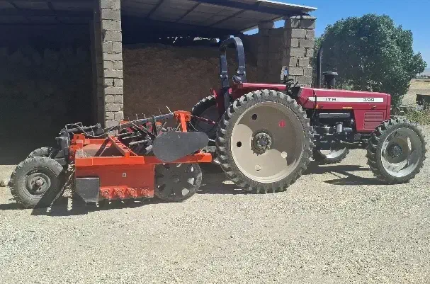 چغندر کن و میل کن|خدمات باغبانی و درختکاری|بیستون, |دیوار