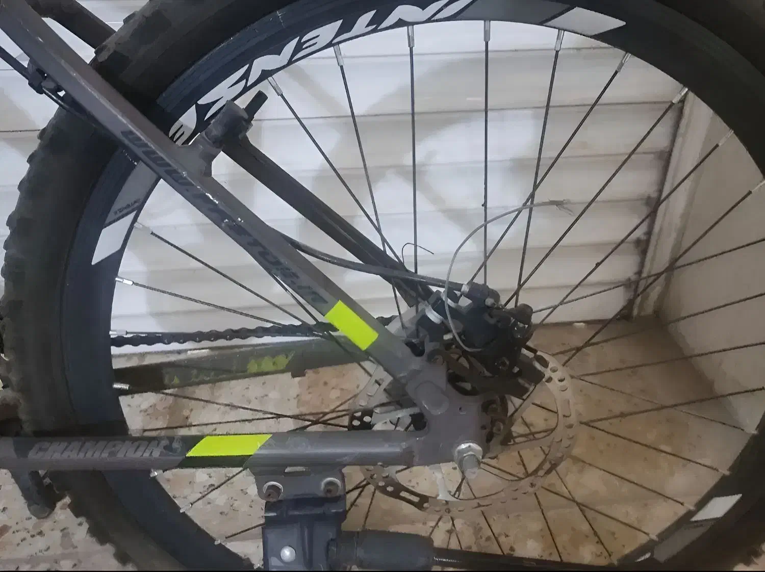 دوچرخه ۲۶ نو|دوچرخه، اسکیت، اسکوتر|شهریار, شهرک شاهد|دیوار