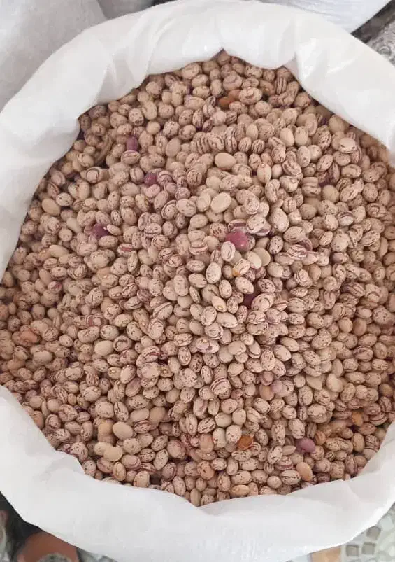 لوبیا چیتی|خوردنی و آشامیدنی|مرودشت, ثبت احوال|دیوار