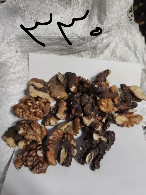 مغز گردو امسالی پر چرب تویسرکان|خوردنی و آشامیدنی|رشت, پارک شهر|دیوار