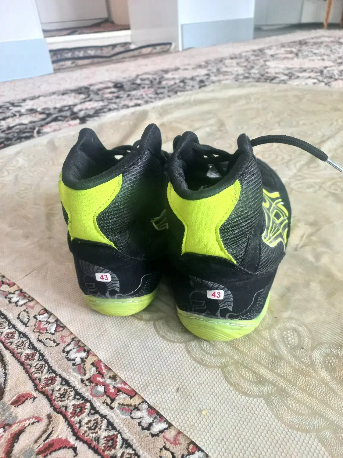 کفش کشتی|تجهیزات ورزشی|زرندیه, |دیوار